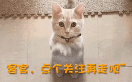 中产最爱的电商平台停运曾叫板淘宝！OG网站烧光3000万美元！又一(图5)
